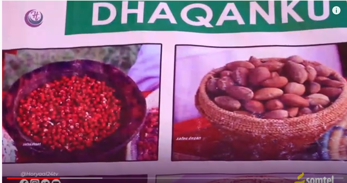Xuska 7aadka Dhaqanka deegaanka somalida oo markii 3 aad la Xusayo ayaa jigjiga lagu qabtay