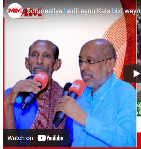 Proffer Axmed ismaacil samatar oo la waydiiyay siyaasada uu ku waajahayo somaliya