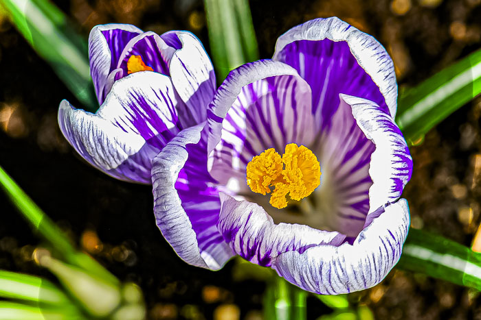 FOTD – January 31, 2025