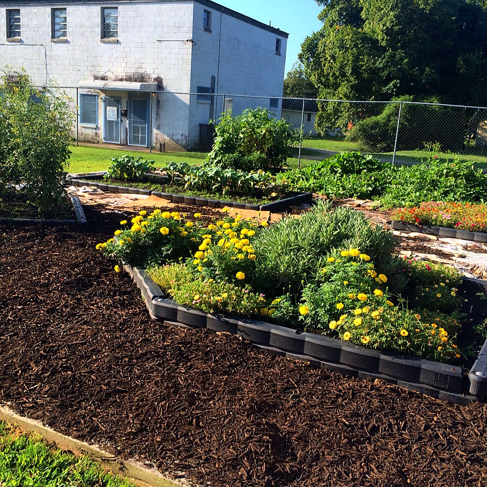 Summer at the WA Foster Center- photo credits to two wonderful intern assistants- thank you Mary and Kate!