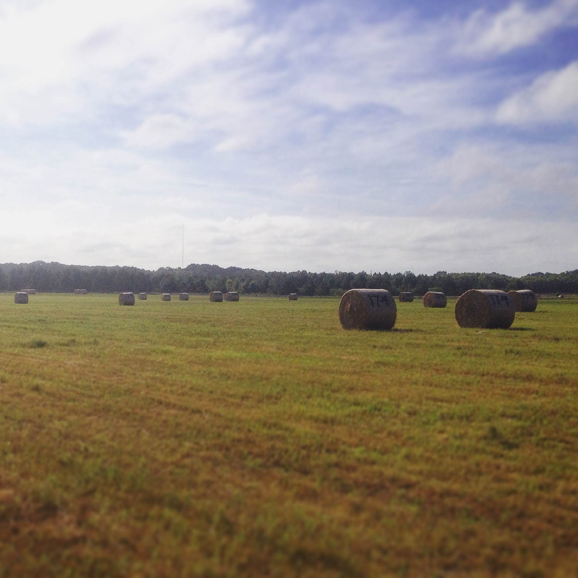 Hay baling aplenty.
