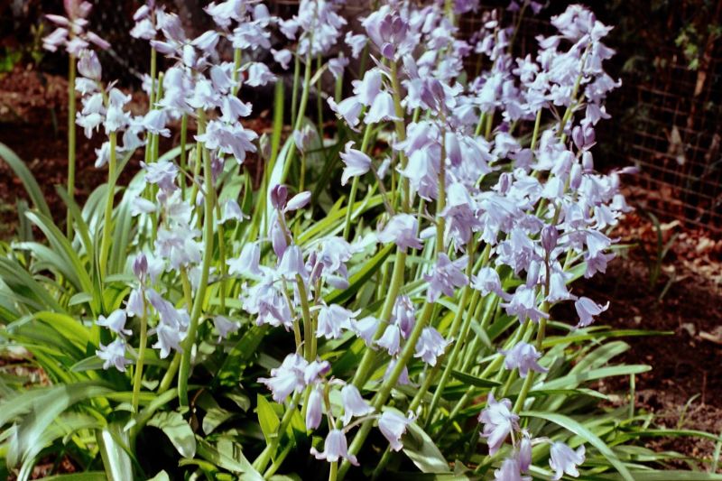 Whaitbim Christopher Welsh Github - Gorgeous Mountain Wallpaper - Desktop