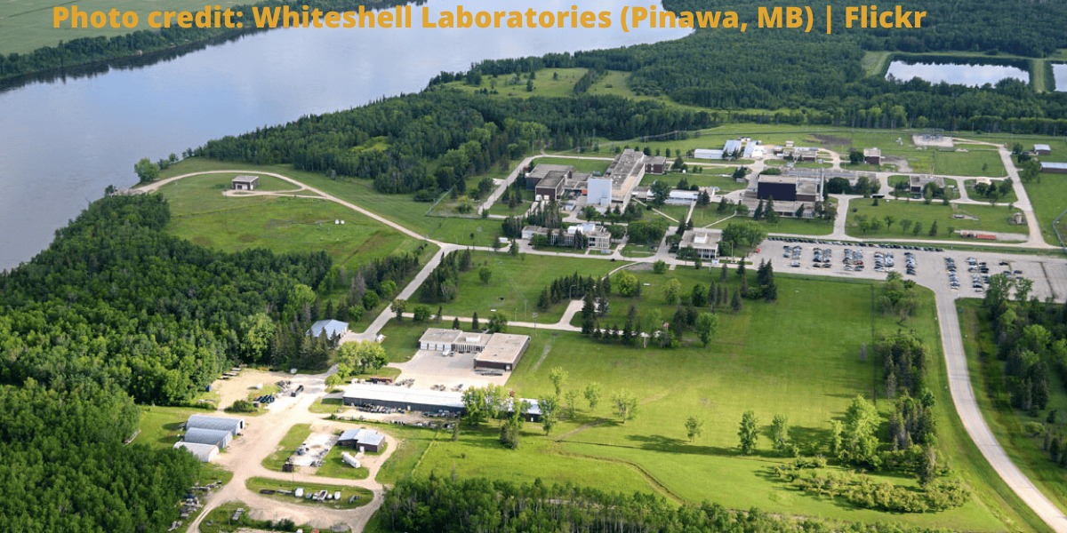 Decommissioning of CNL's Whiteshell Laboratories - Canadian ...