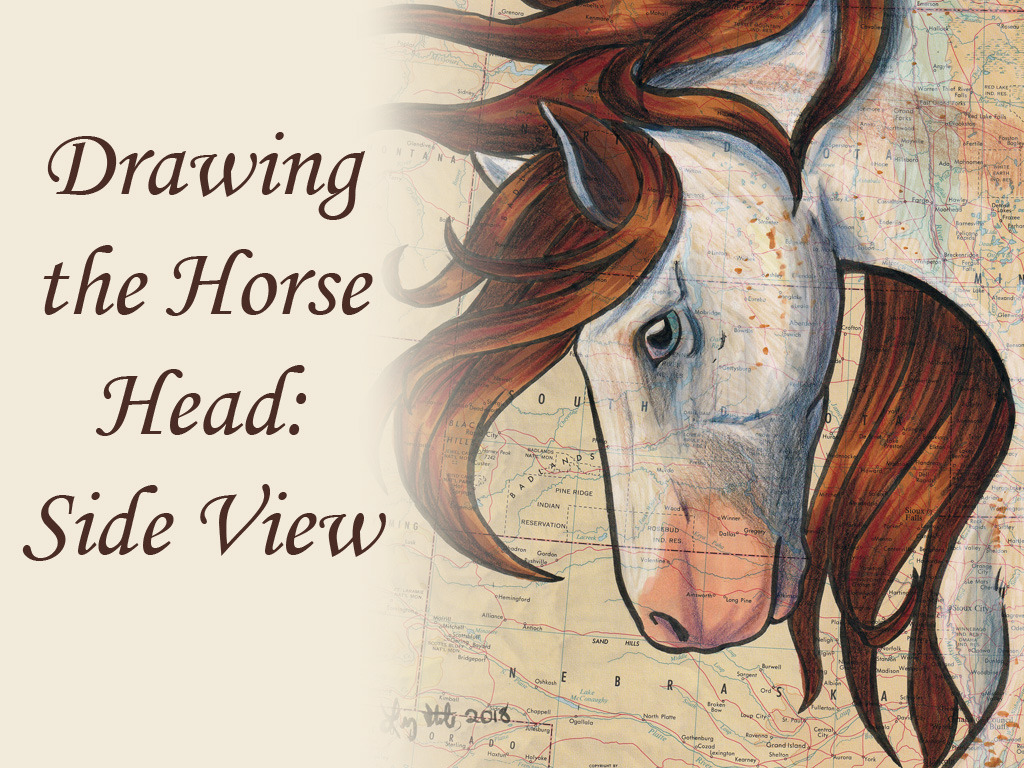 Pretty cartoon horse or pony drawing for beginners. Drawing The Horse Head Side View By Lizstaley Clip Studio Tips