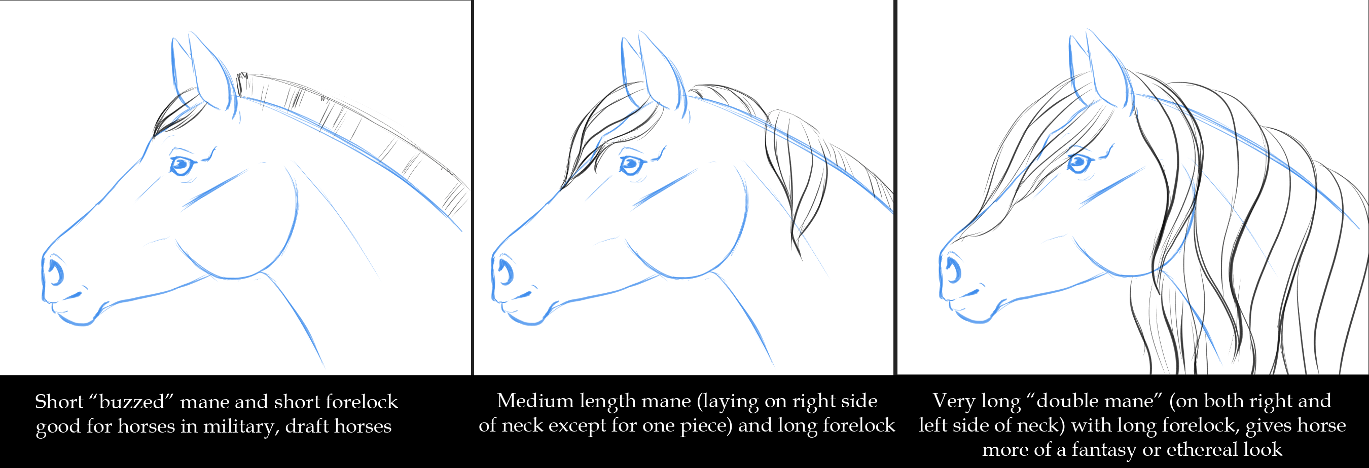 In wirklichkeit würdet ihr sie natürlich mit bleistift vorsichtig einzeichnen. Zeichnen Des Pferdekopfes Seitenansicht Von Lizstaley Clip Studio Tips