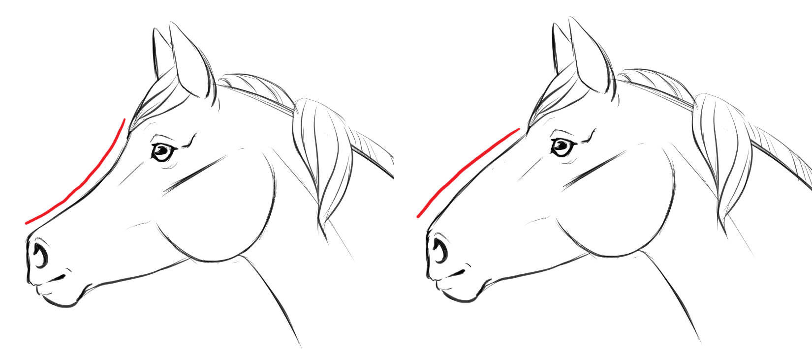Er arbeitet mit reisskohle und bleistift. Zeichnen Des Pferdekopfes Seitenansicht Von Lizstaley Clip Studio Tips