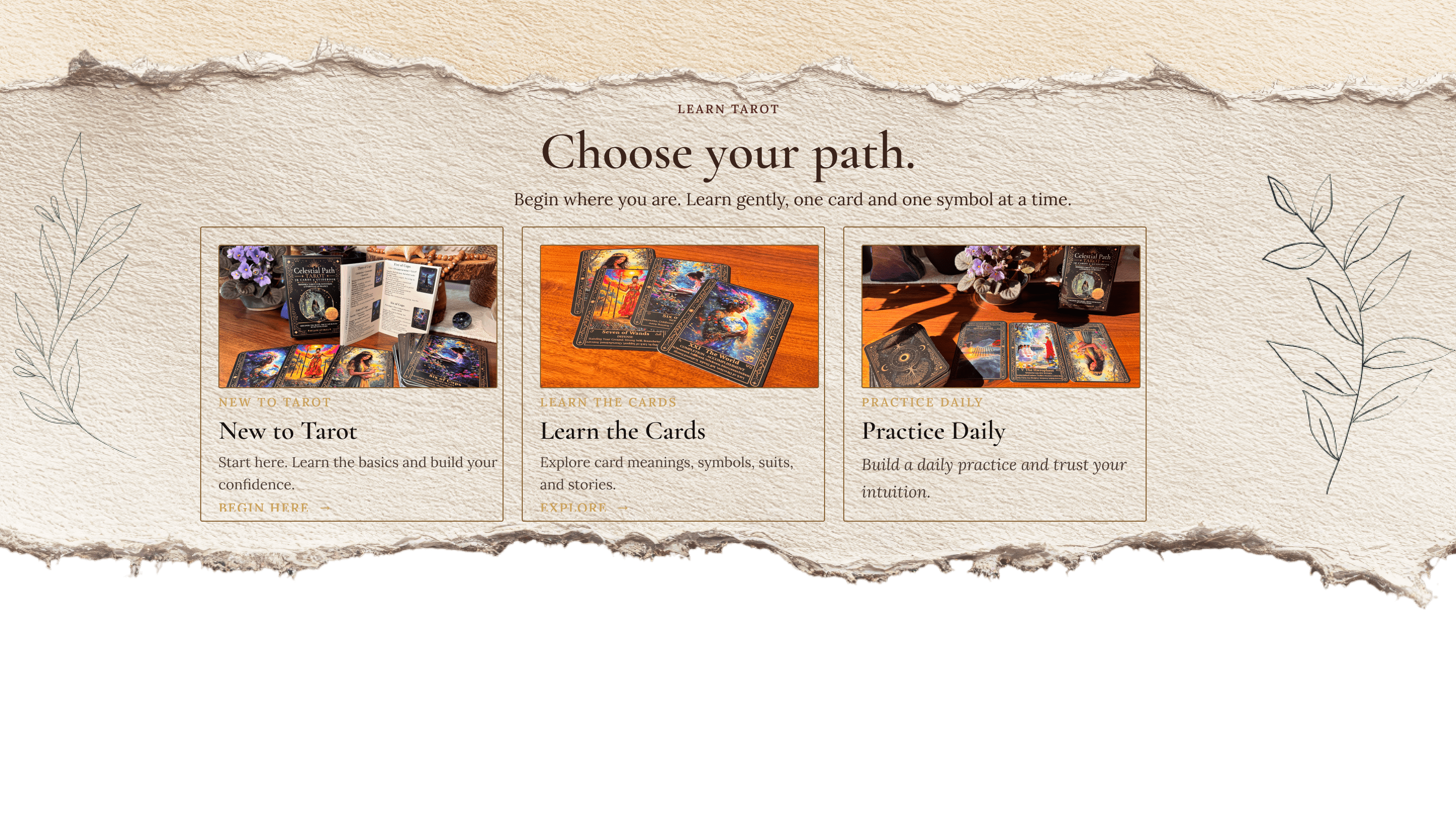 Choose your tarot learning path