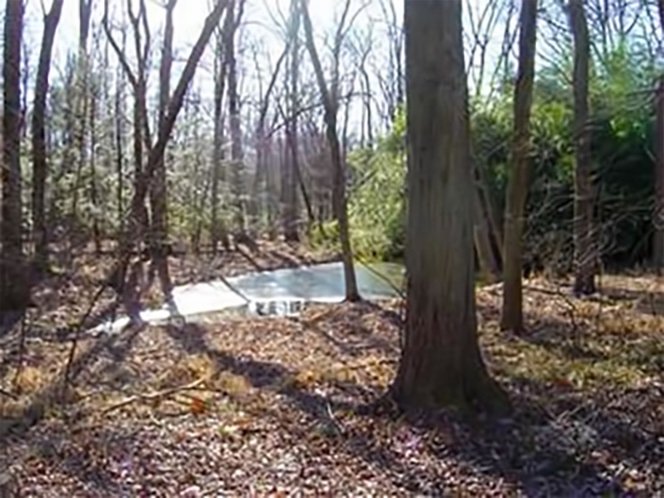 "Mink Pond" ? At JCO's home during the writing of Bellefleur.