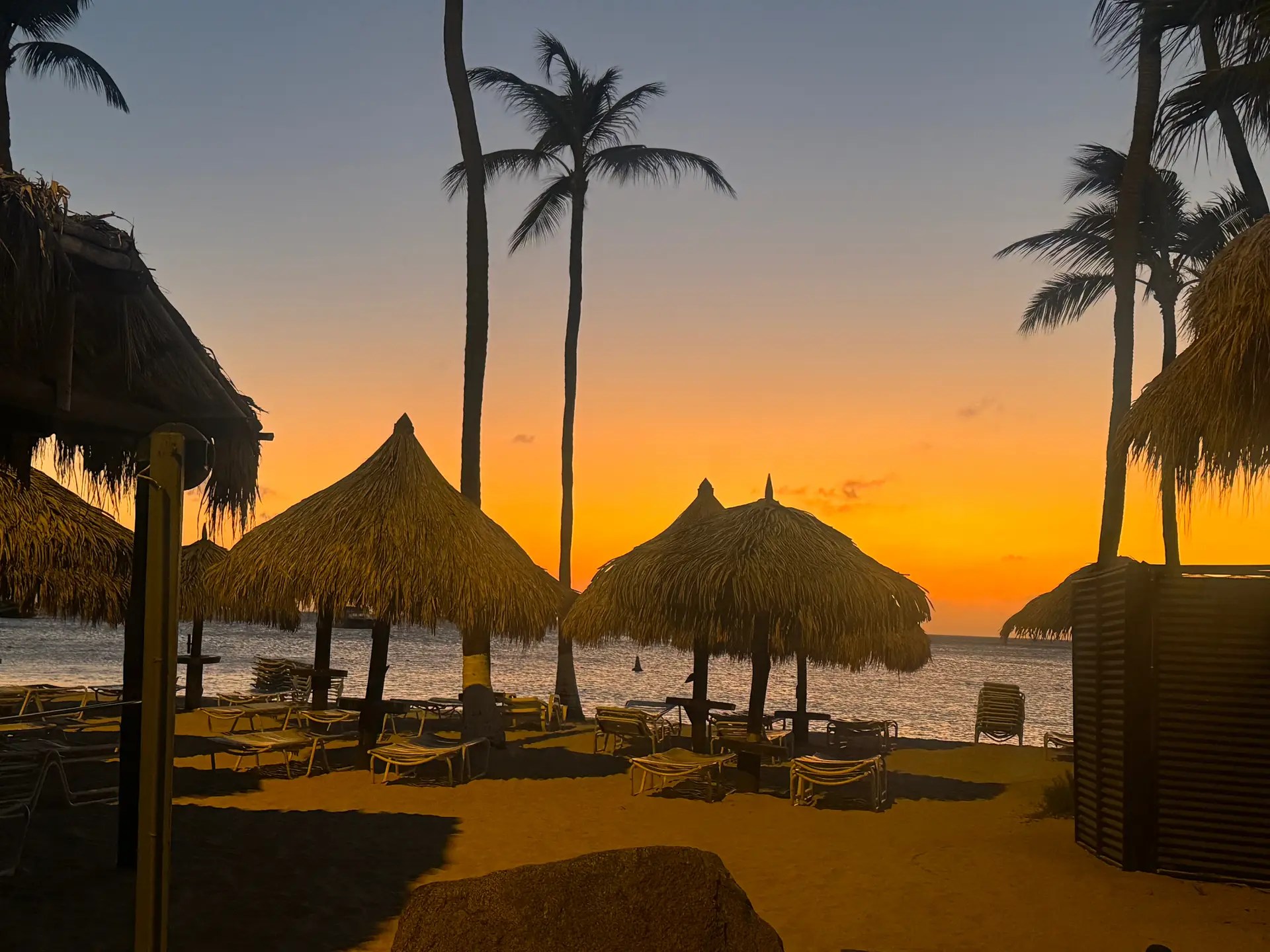 Thatched palapas and palm trees on an Aruba beach at sunset