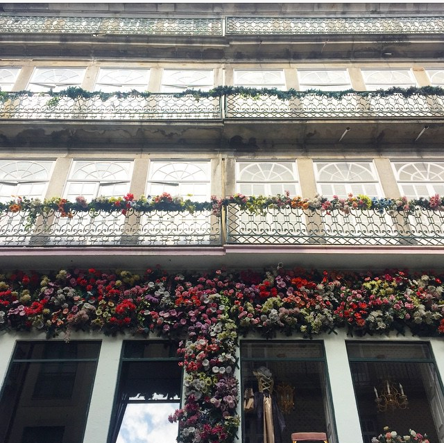 Bloom - Flowers - Building - House - Porto