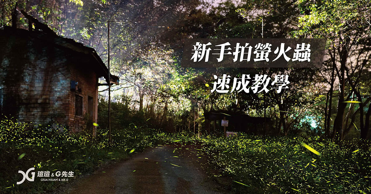 新手拍螢火蟲技巧 拍螢火蟲教學 螢火蟲拍照 螢火蟲拍攝