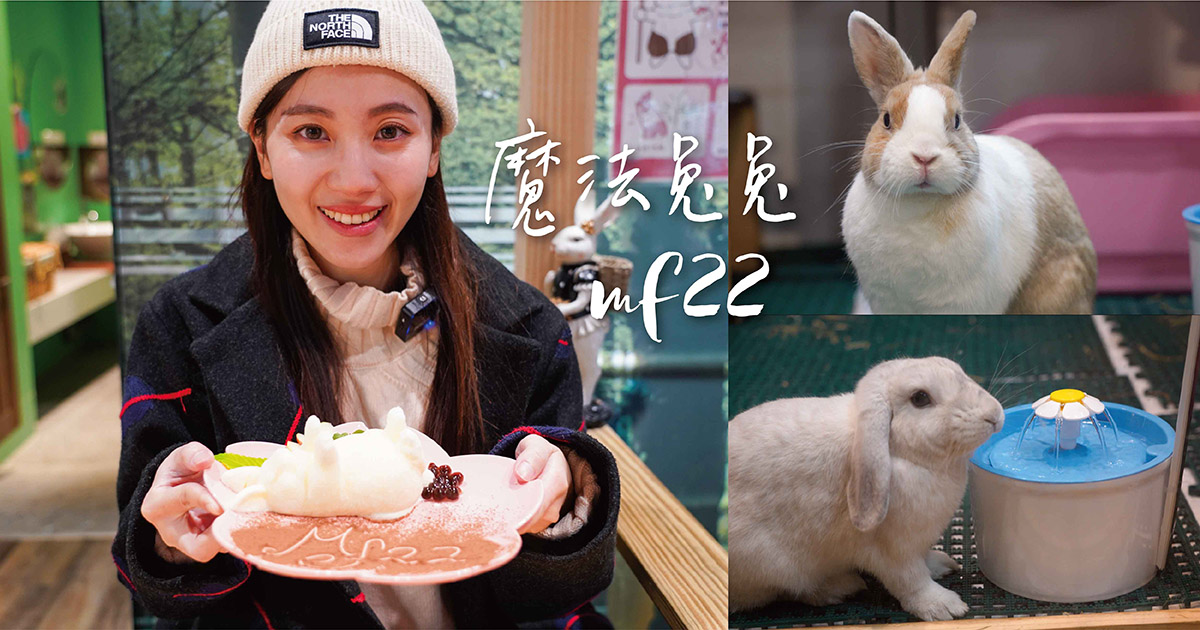 台中兔子寵物餐廳推薦 魔法兔兔