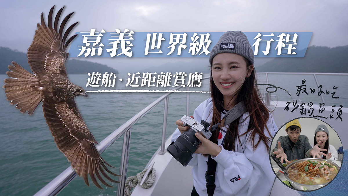 【嘉義景點】嘉義世界級行程 游船超近距離賞鷹 最好吃的砂鍋魚頭 野生山豬島 嘉義日月潭 ｜嘉義大埔一日遊｜