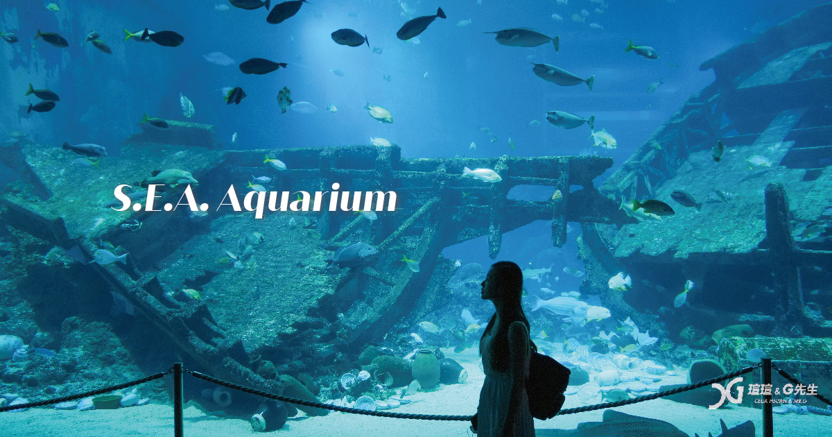 【S.E.A海洋館】新加坡S.E.A海洋館(S.E.A. Aquarium)攻略，世界最大海生館之一，新加坡親子旅遊必訪景點！