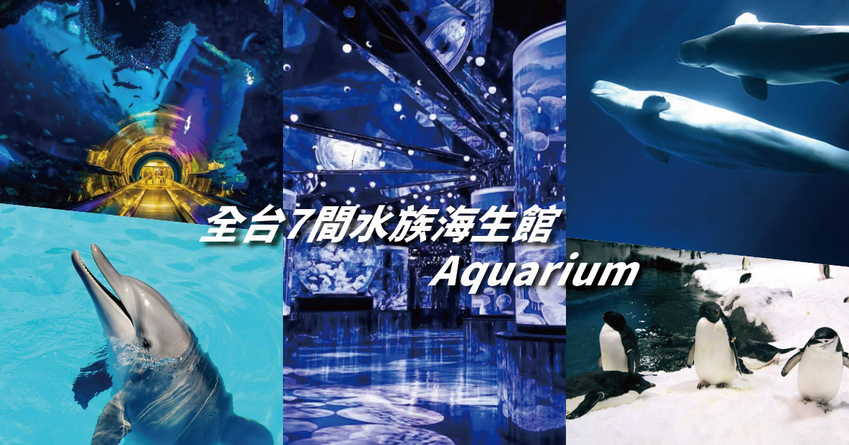 【2024水族館】全台7間大型海生館，網美水母、可愛小企鵝，全台水族館遊玩攻略