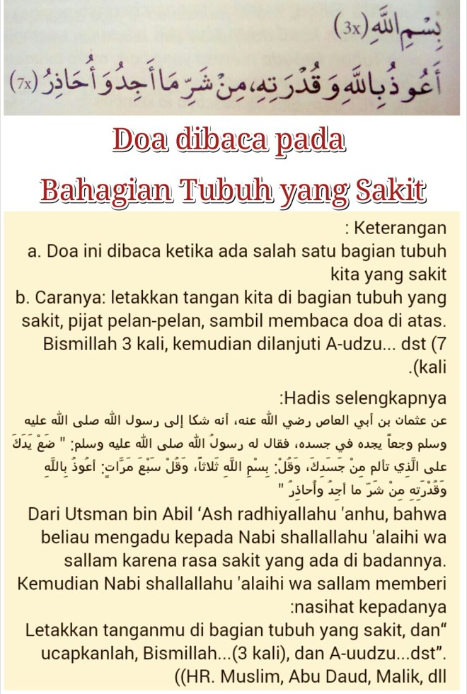 We did not find results for: Celiktafsir Page 187 Celik Tafsir