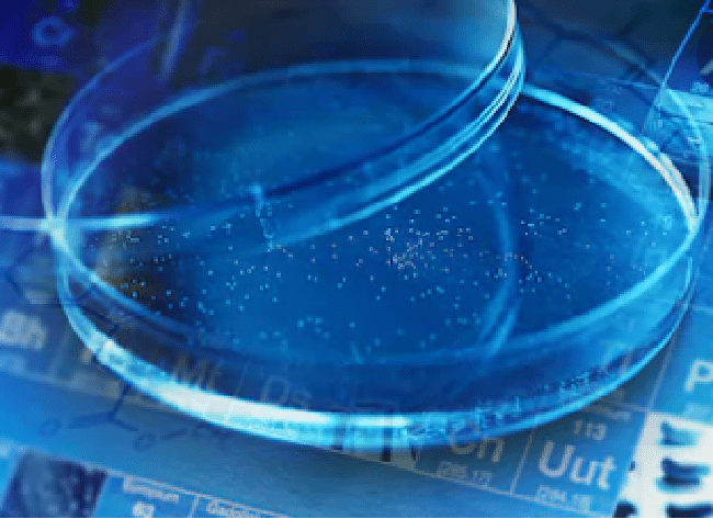 Solutions Creative Bioarray Cellassay - Best Landscape Backgrounds in Retina