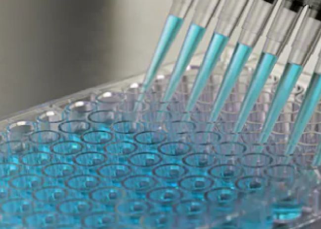 Cell Culture Solutions Creative Bioarray - Best Geometric Illustrations in High Resolution