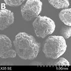 Amorphous Solid Dispersions Layered Pellets Cellets 500 - Download Incredible Dark Photo | High Resolution