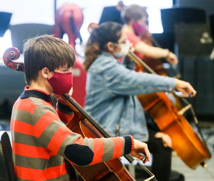 Cellos in the News: Top Stories of the Week - 15 January