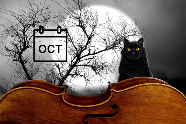 Curator's Corner: October 2022 at the Cello Museum