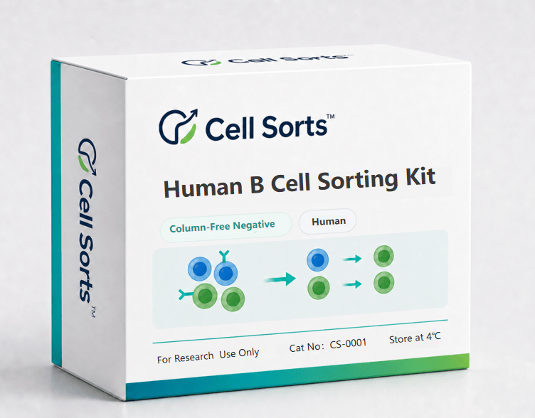 Human B Cell Sorting Kit CS-0001 for column-free CD19+ B cell isolation | Cell Sorts™