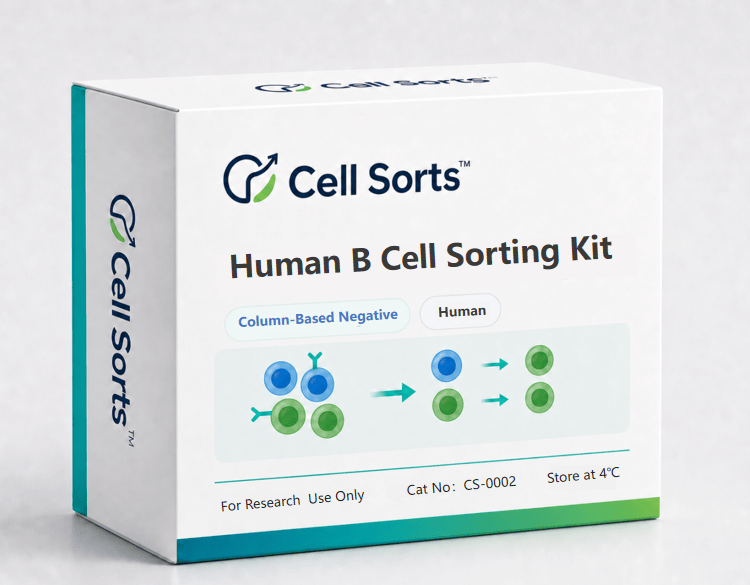 Human B Cell Sorting Kit CS-0002 for column-based CD19+ B cell isolation | Cell Sorts™