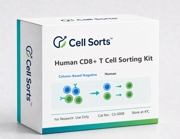 Human CD8+ T Cell Sorting Kit