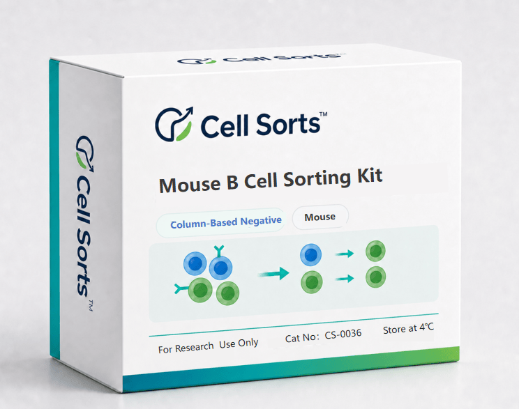 Mouse B Cell Sorting Kit