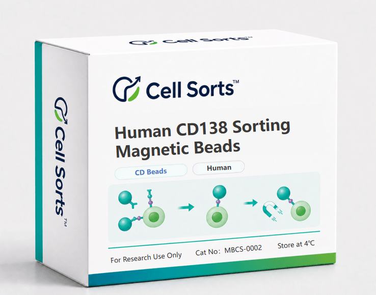 Human CD138 Sorting Magnetic Beads