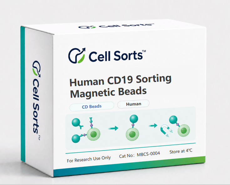 Human CD19 Sorting Magnetic Beads