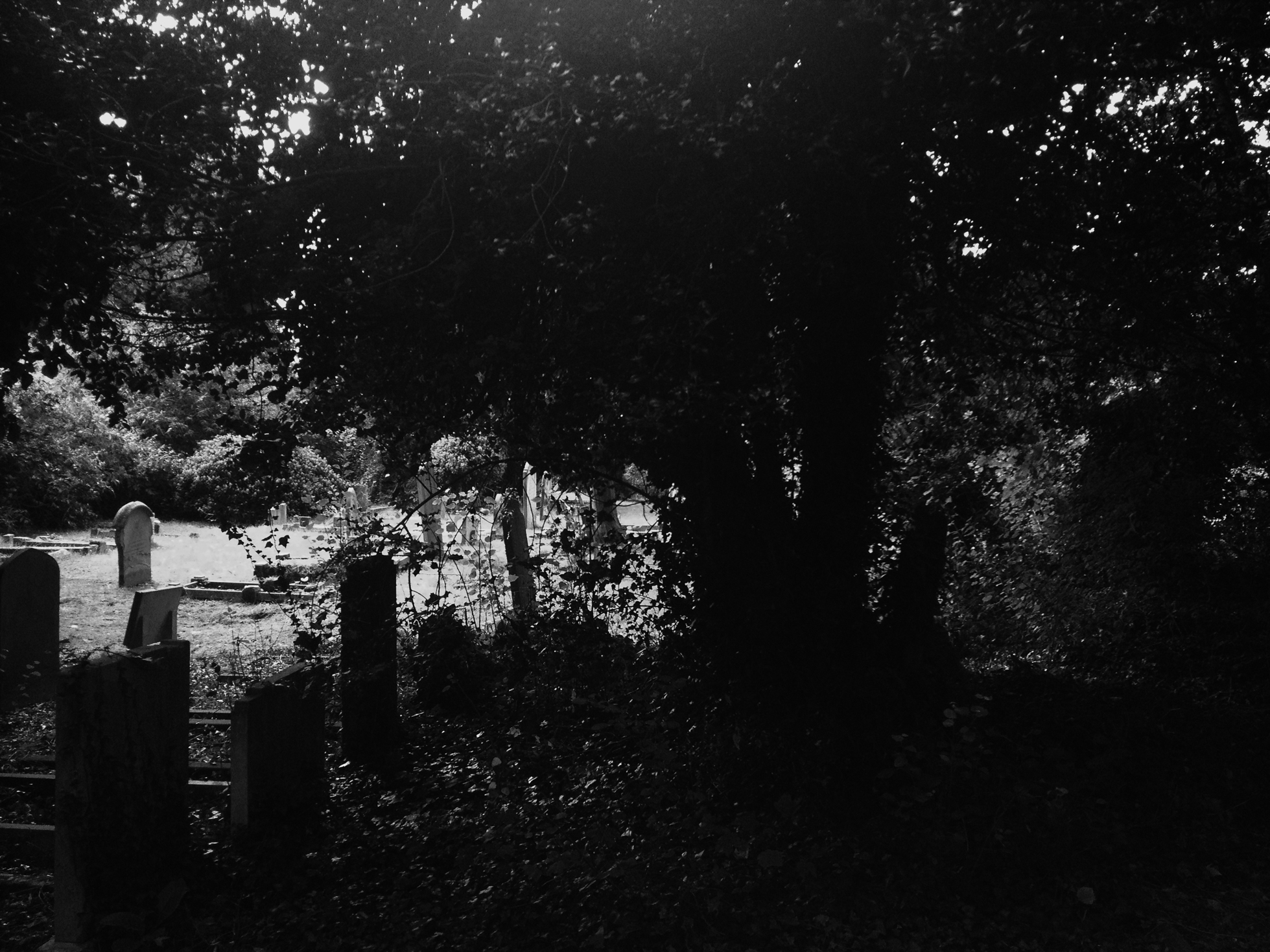 IMG_2867edited