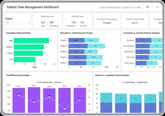 todoist task tracking tool dashboard