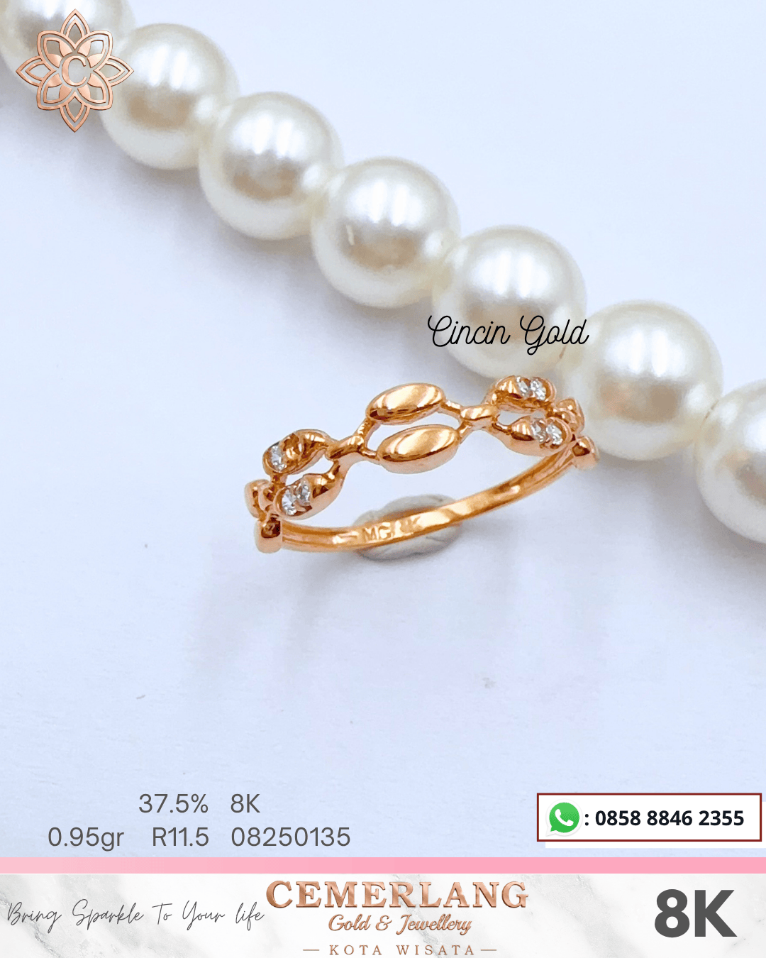 CC 45 COR BIJI TIMUN