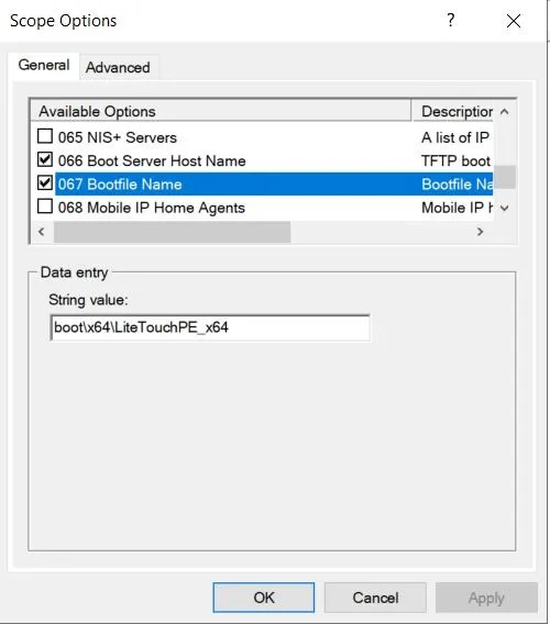 Windows Deployment Services (WDS) Kurulumu ve Yapılandırma 19 DHCP Scope options