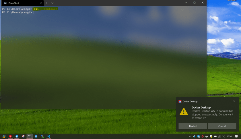 wsl shutdown