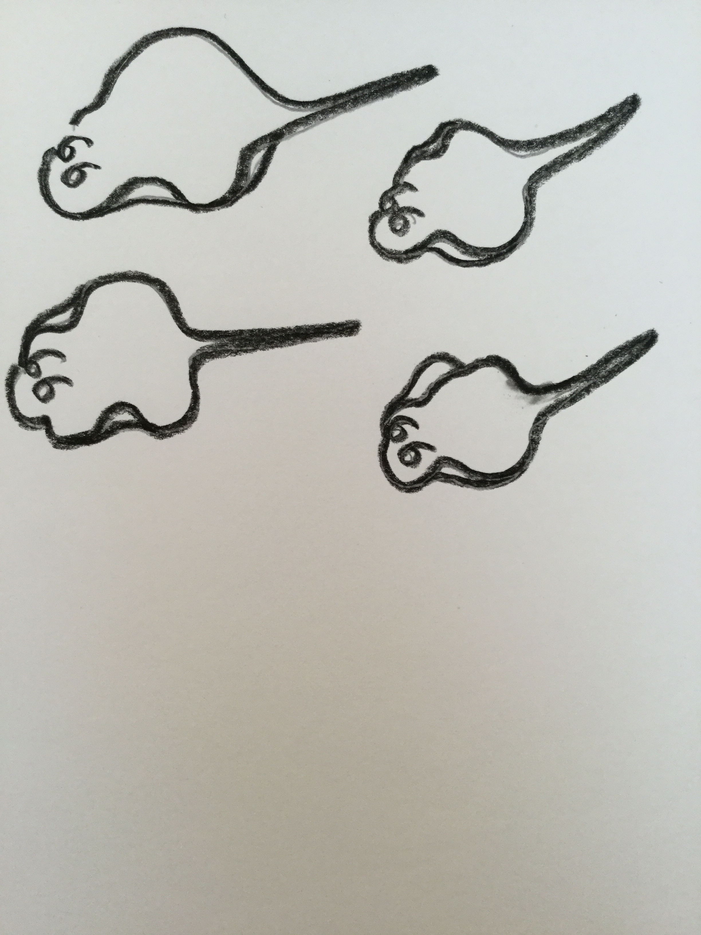 Mantarrayas para el censO individuaL universaL (aunque yo de niña las llamaba rayas manta).