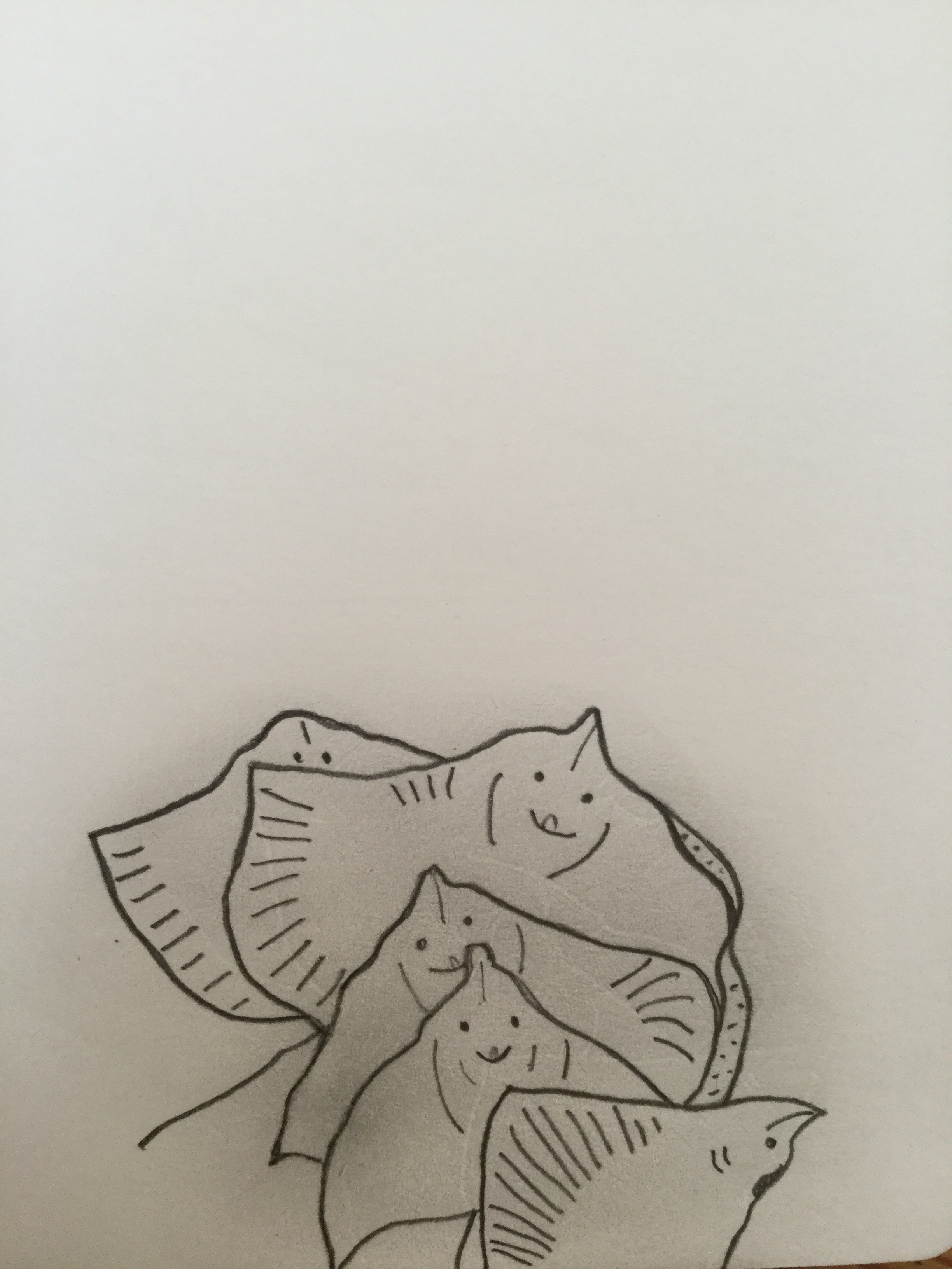 Mantarrayas para el censO individuaL universaL (aunque yo de pequeña las llamaba rayas manta).