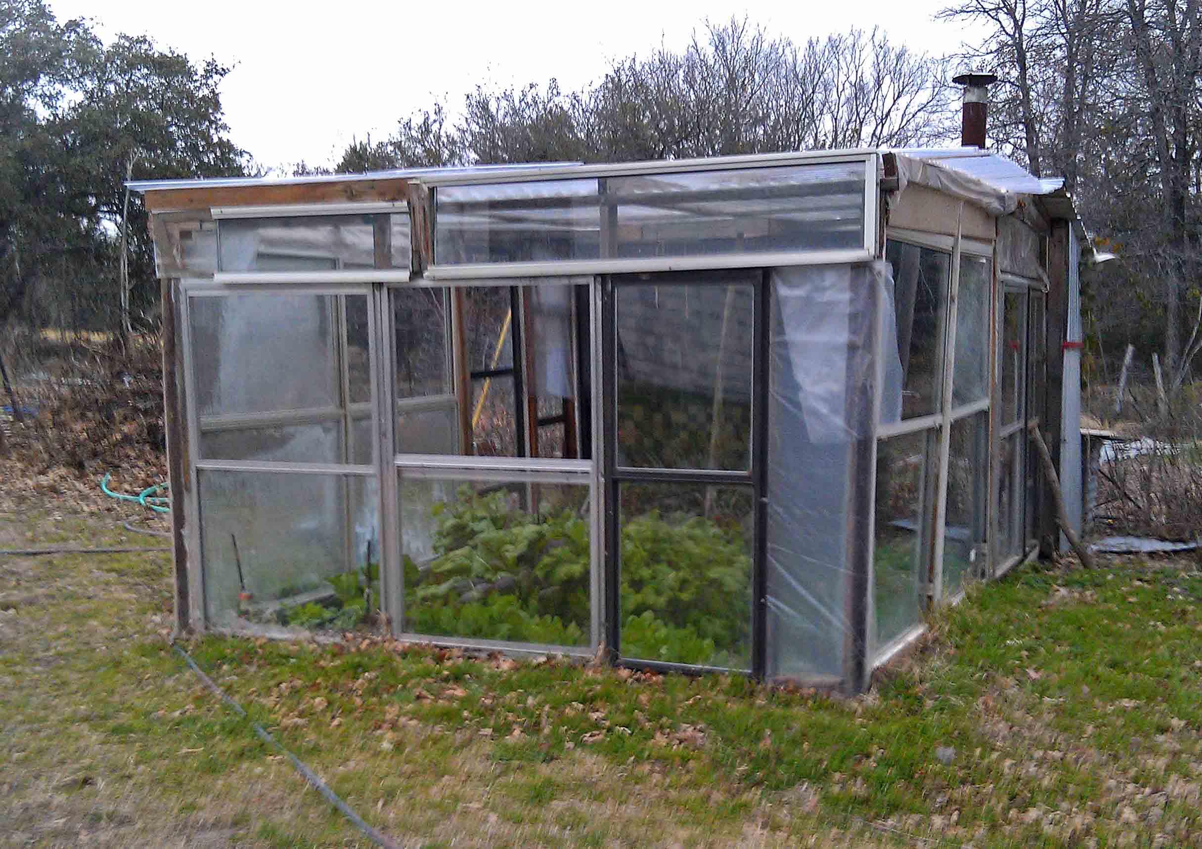 Greenhouse and veggies in winter