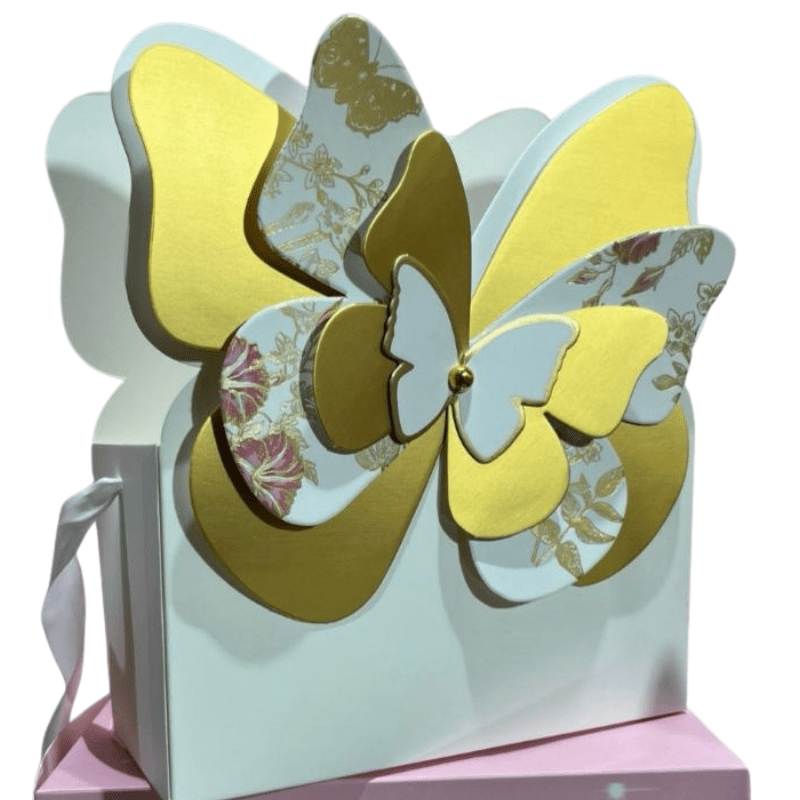 Caja con Mariposa 3D