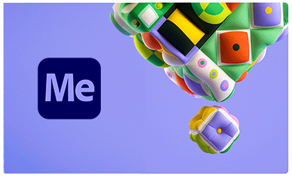 Adobe Media Encoder CS4