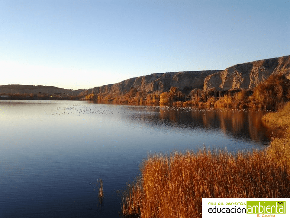 ... y así se ve la laguna desde nuestro mirador en invierno