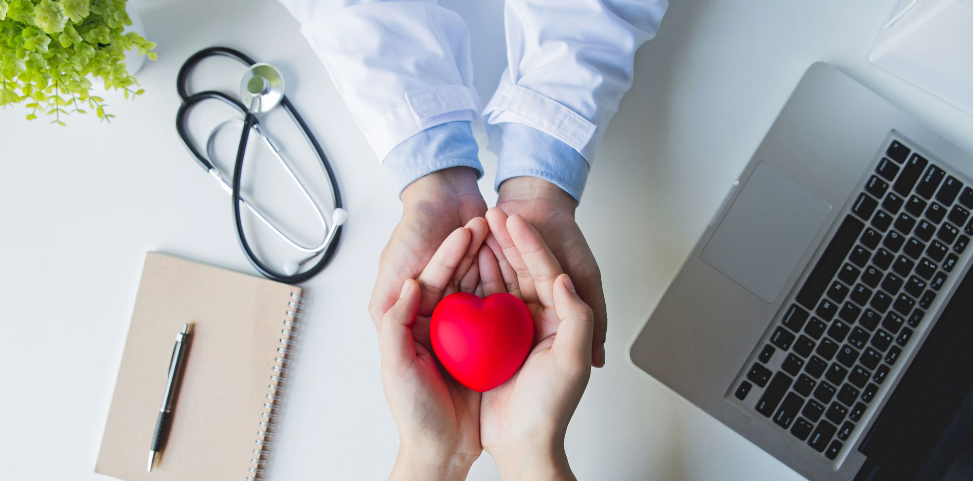 Lee más sobre el artículo Factores de riesgo y prevención Monitorización y tratamiento de trastornos existentes del corazón