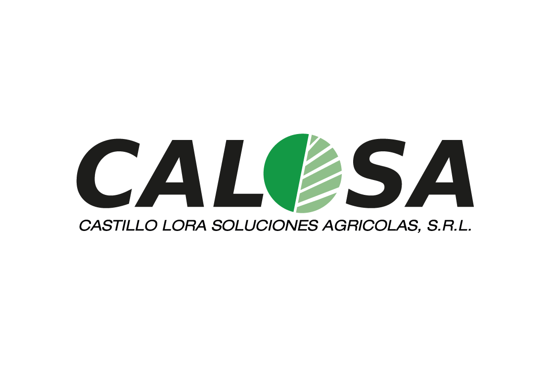 Calosa