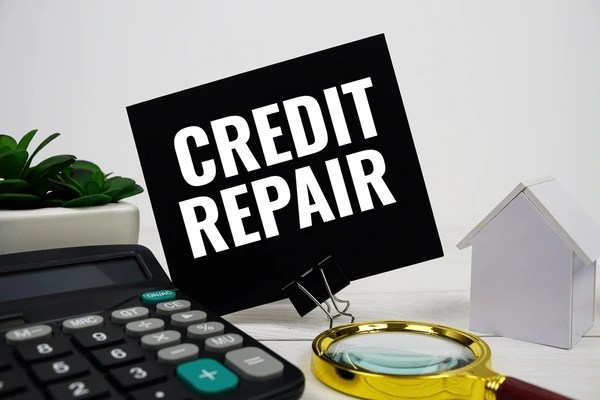 Affordable DIY Credit Program vs. Paid Services: Which One