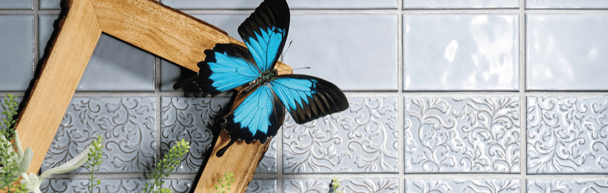 Caserta-Banner