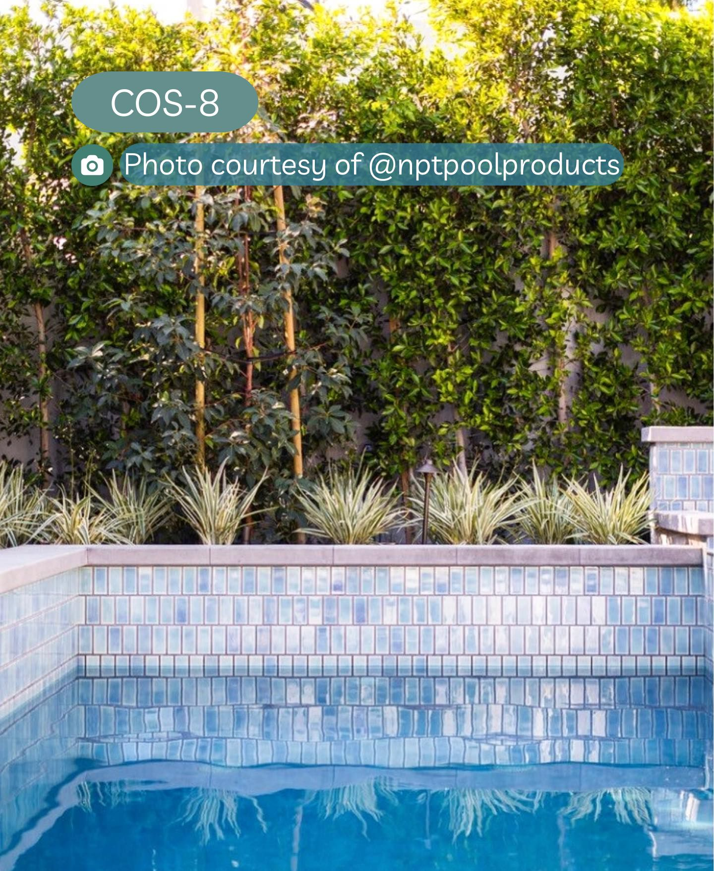 nptpoolproducts-COS-8.webp