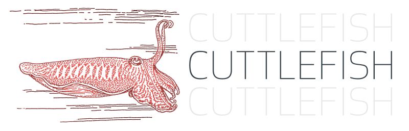 Ceph Io Logo Usage - Premium Mountain Design Gallery - HD