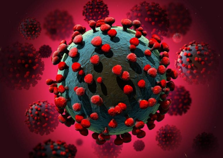 Biak, tumbuh dan berkembang, iritabilitas, adaptasi. â 10+ Perbedaan Virus, Viroid, dan Prion [Lengkap+Terbaru