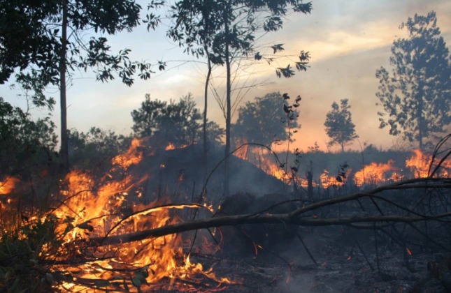 INDONESIA-BAKAR-2026